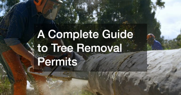 A Complete Guide to Tree Removal Permits - A Smart Mum at Home